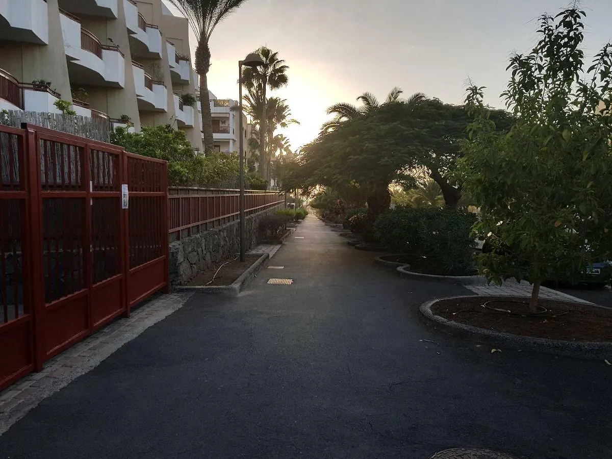 Ruisenor En Palm-Mar Apartment