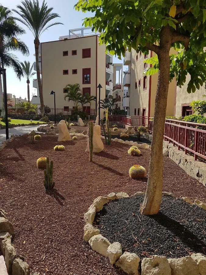 Ruisenor En Palm-Mar Apartment